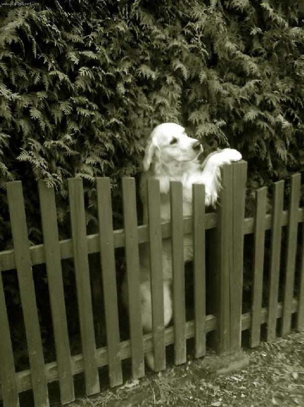 Foto: Tak V�m teda n�jak zap�zuju,kdy� u� jste tu s tim fo��kem..stojim dob�e?