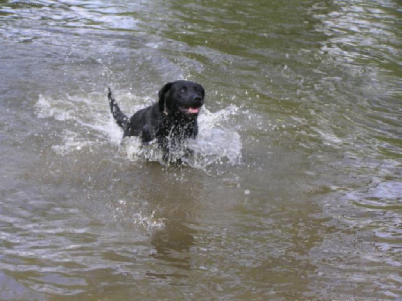 Foto: Vodn� �ivel...