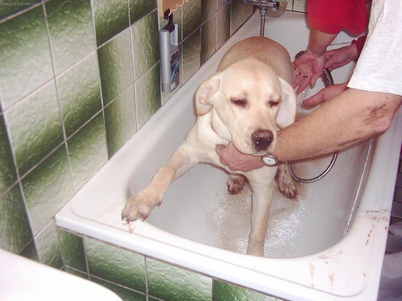 Foto: �pind�ra jedna