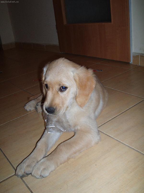 Foto: roxina-to byl jen pap�rek