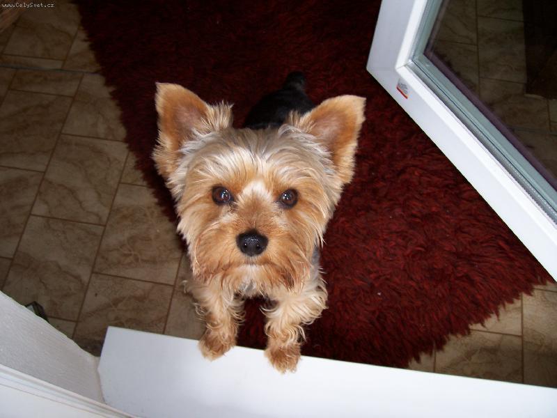 Foto: Doma my ��kaj�,�e jsem kl���sn�,jak to vid�te vy???