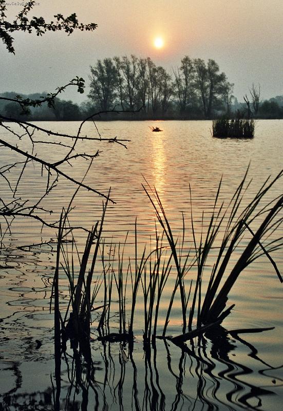 Foto: Rybn�k kotvice-Rann� slunce nad rybn�kem