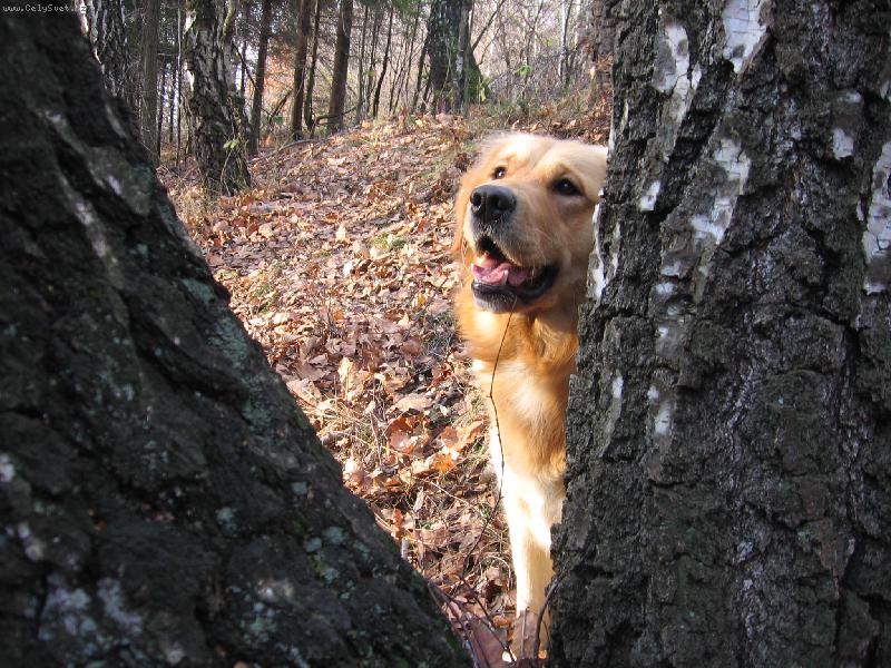 Foto: No to teda kouk�m.