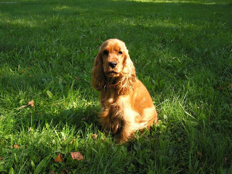 Foto: B�ra_II-... a te� jsem velk� !