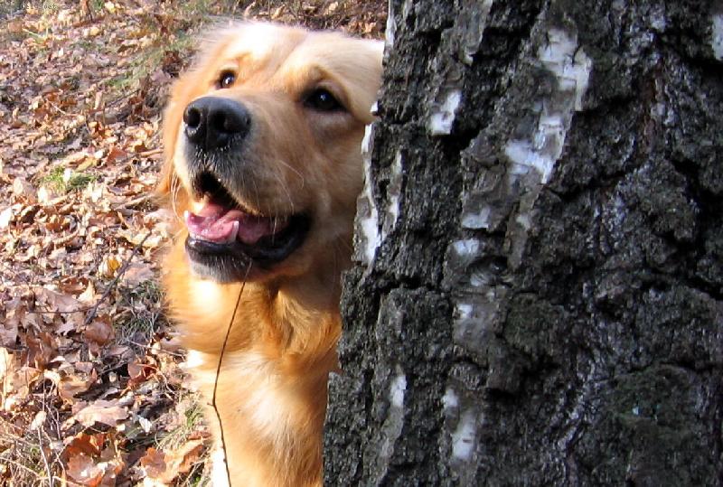 Foto: j� t� vid�m