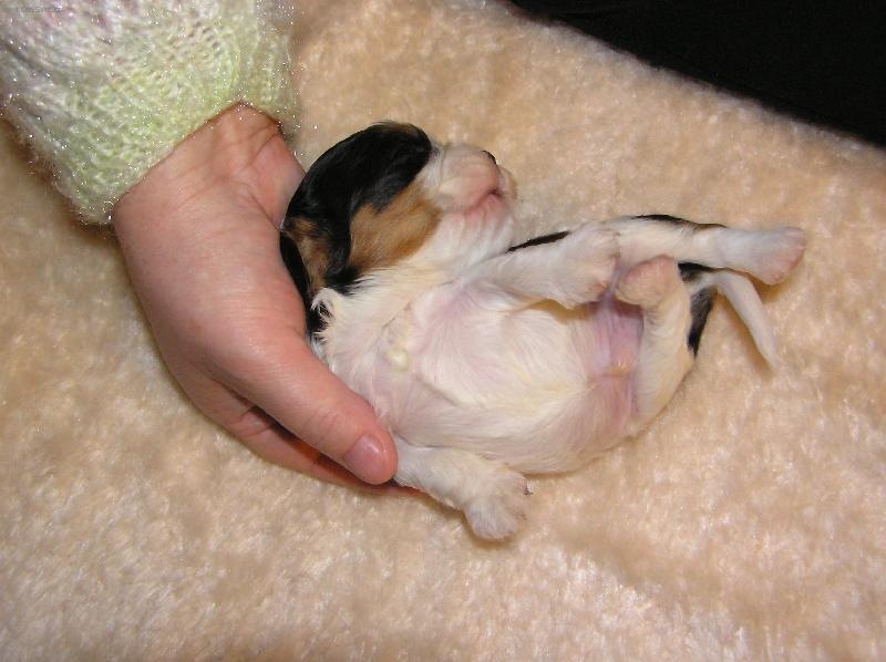 Foto: Max-poprve v nasi naruci