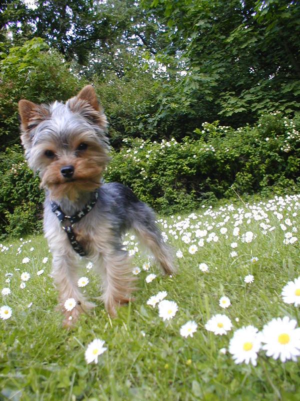 Foto: Kubik-prochazka zameckou zahradou