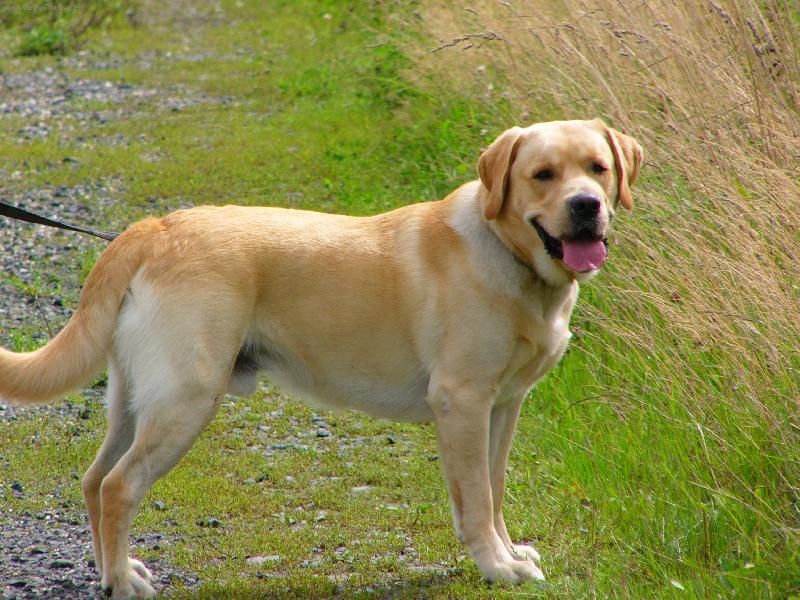 Foto: Tak u� poj�, kdo m� na tebe furt �ekat