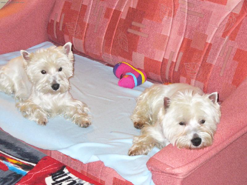 Foto: Odpo�inek na�ich west�k�-Sourozenci Ben��ek a Bettynka