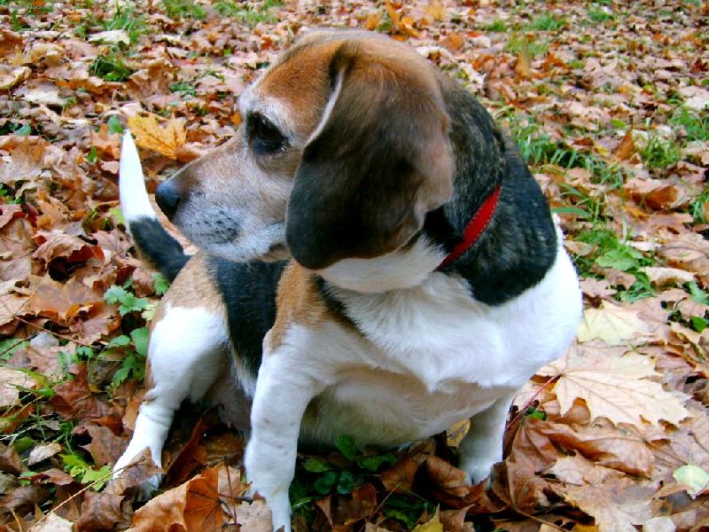 Foto: fannynka byst��