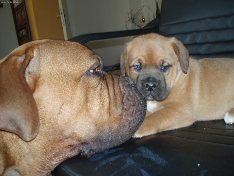 Foto: �koda pusinky, kter� padne vedle-maminka B�ra s nejmilej�� dcerou Cleopatrou