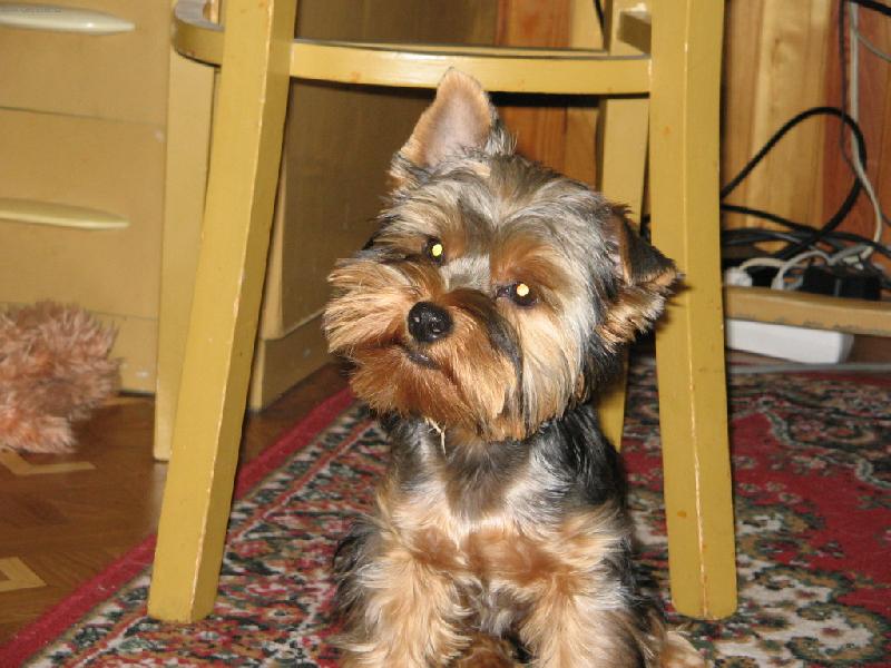 Foto: Tak honem, kdy vylet� ten pt��ek...?