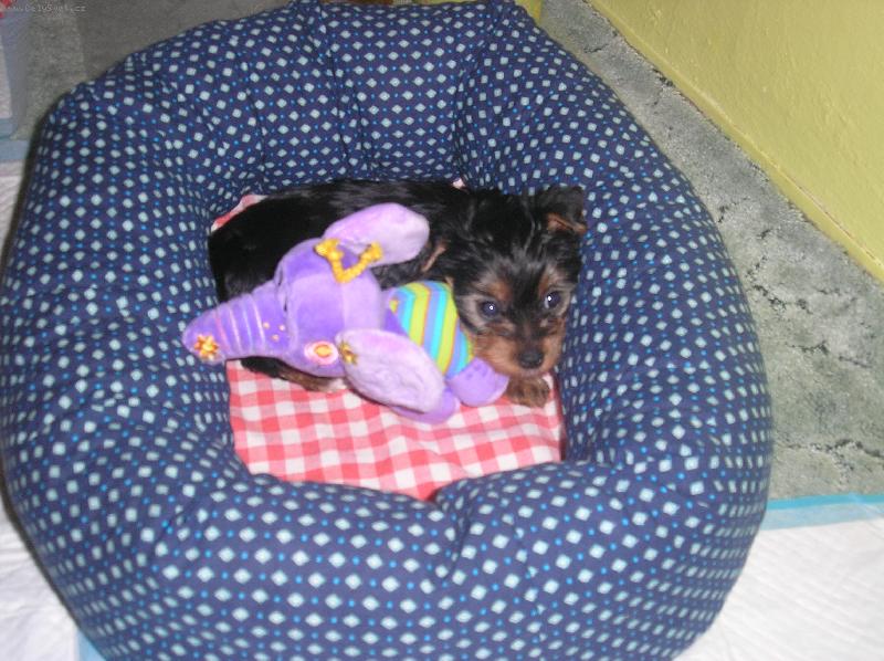 Foto: na�e mal� Nathaly