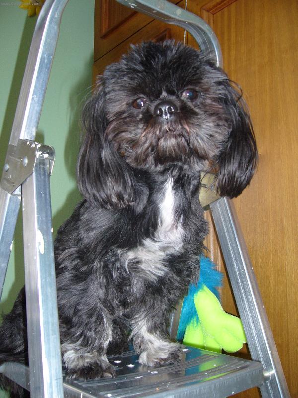 Foto: Lady-Na �tafl�ch...