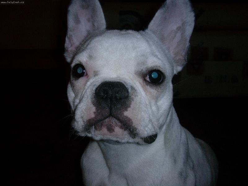 Foto: na�e l�ska