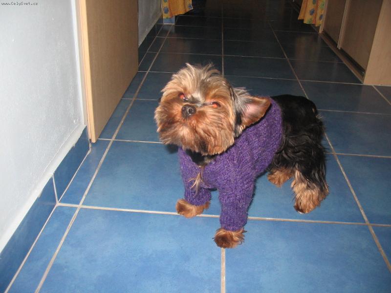 Foto: kuk-to jsem fe��k