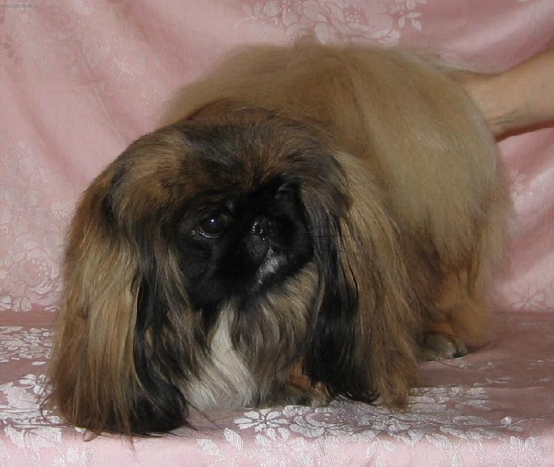 Foto: ULLY od Mach��k�-U� m� to focen� nebav�!