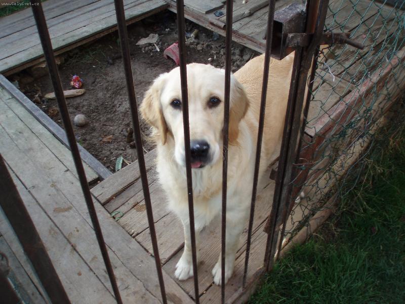 Foto: Pus� m� ven!!