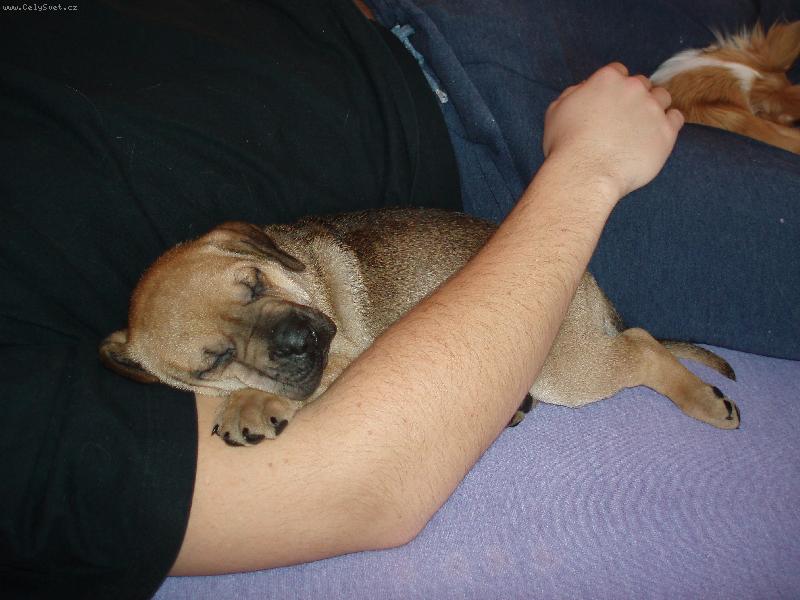 Foto: odpoledn� siesta