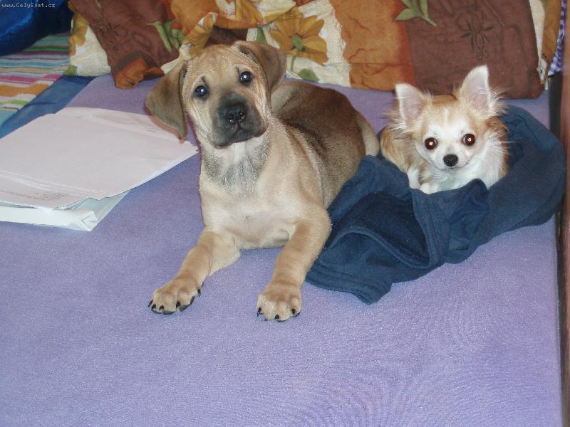 Foto: tady je to na�e!