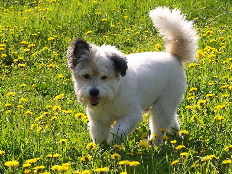 Foto: Endy-N� nejmilej�� kamar�d