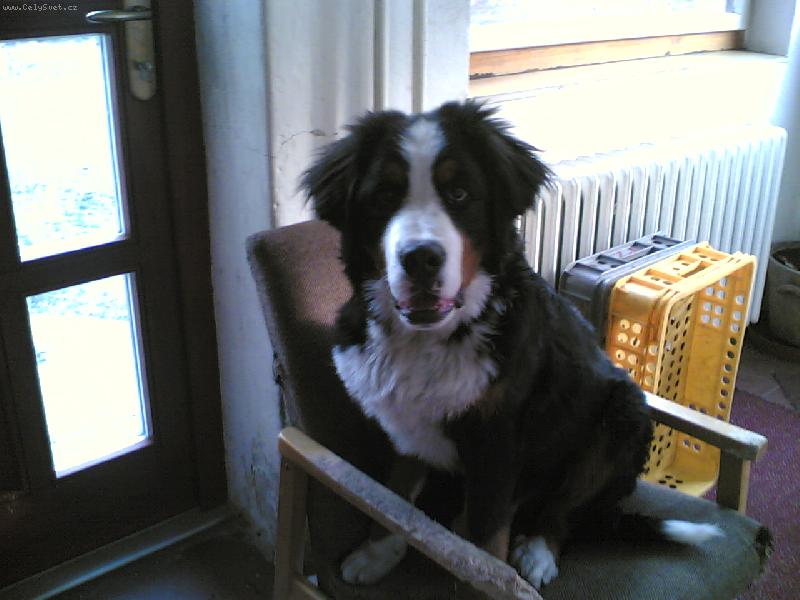 Foto: Ben a jeho k�eslo :)