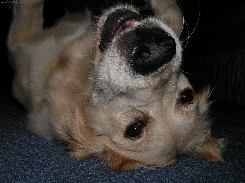 Foto: Sv�t vzh�ru nohama