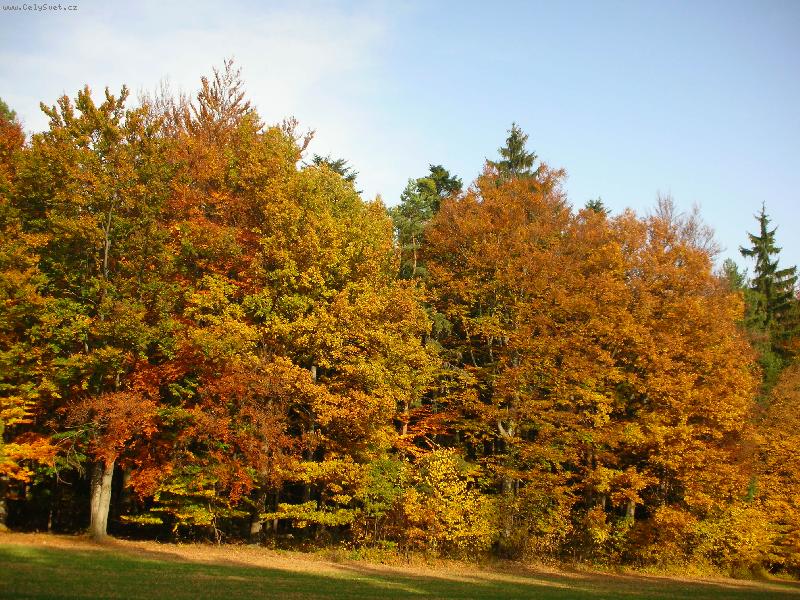 Foto: Barvy podzimu
