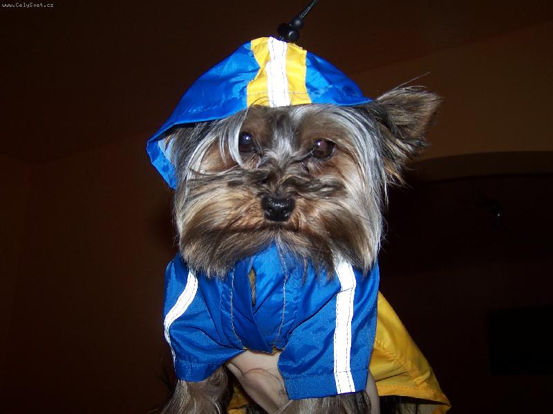 Foto: S�rinka-S�rinka