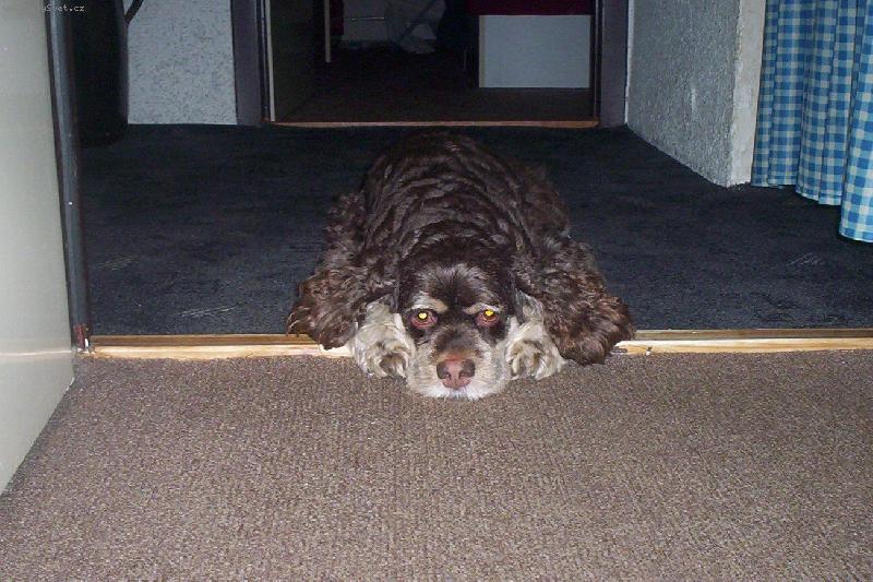 Foto: Kony se nud�