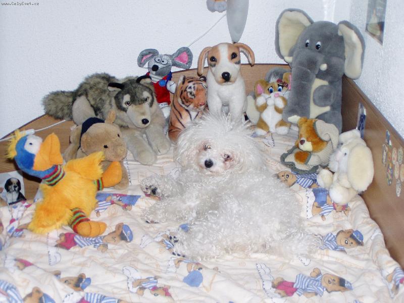 Foto: moji kam�r�di-Jessinka m� r�da ply�ov� kamar�dy