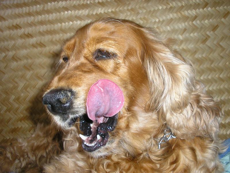 Foto: M�am,M�am-Doninka po ve�e�i