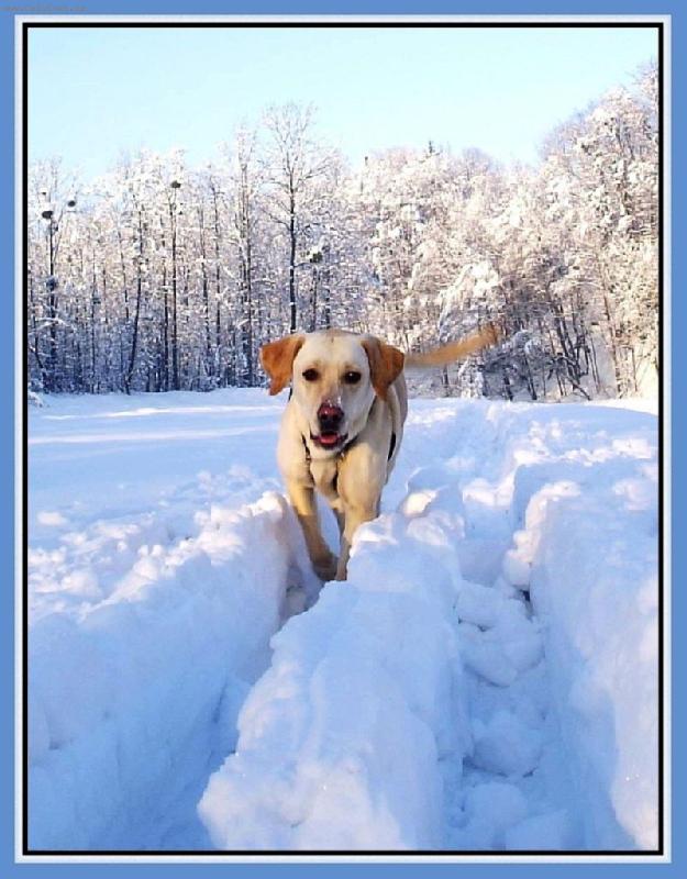 Foto: Kde ty lo�sk� sn�hy jsou