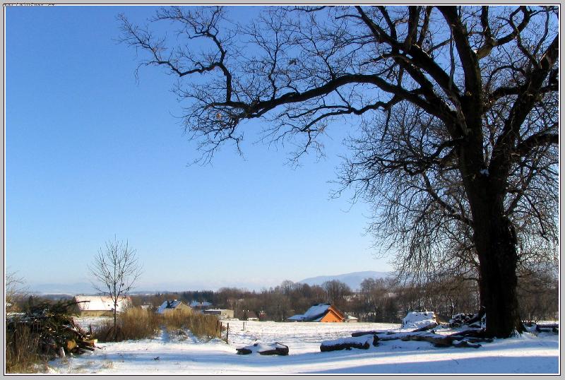 Foto: Zimn� inspirace-Zimn� krajina v Bruzovic� v podh��� Beskyd