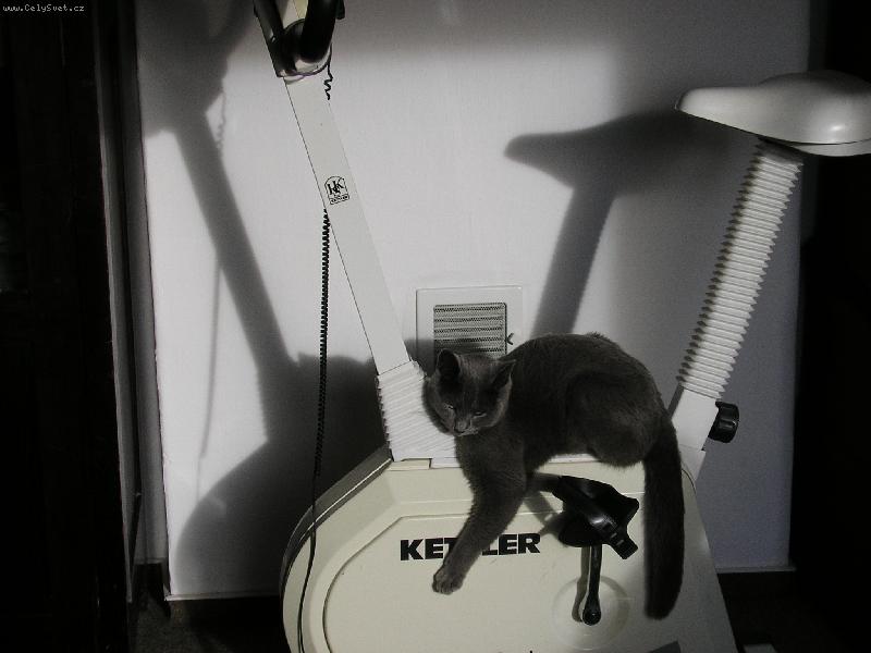 Foto: Po no�m roku hubnu i j�