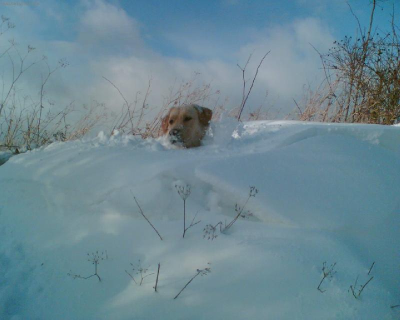 Foto: To byla, ale velk� z�v�j sn�hu!