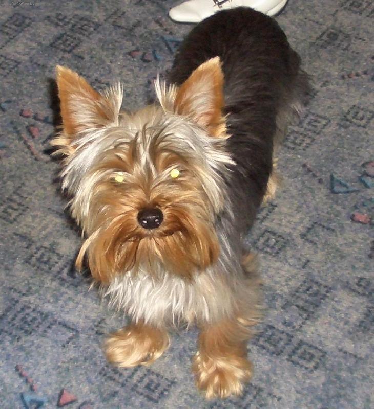 Foto: Na�e fene�ka-Terynka