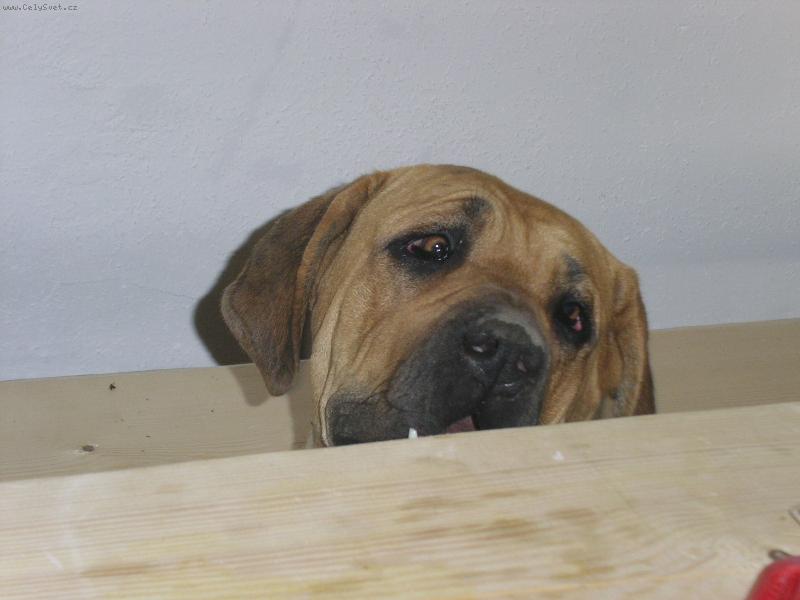 Foto: Nen� tam n�co dobr�ho ?-Nen� tam n�co dobr�ho ?