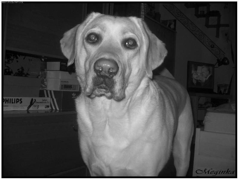 Foto: Megie-V�imn�te si toho chlupu na �um��ku:))Taky v�m tam tak vad�???:))