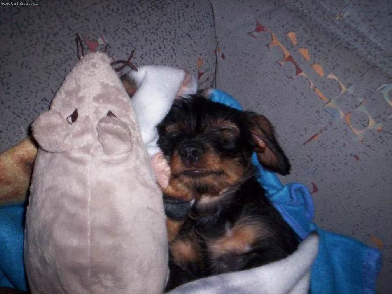 Foto: Nelly-Vylet� pt��ek!!!