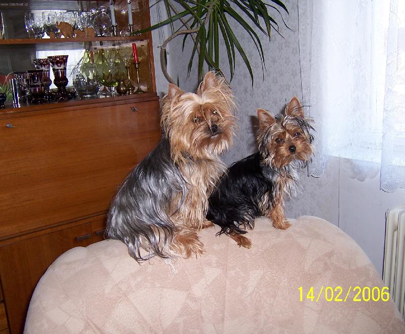 Foto: Jennny a Sendy-P�ijede u� kone�n� ta pani�ka?