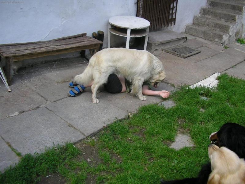 Foto: Nezvykl� ob�d-Kdy� m� n�kdo hlad.....tak nen� co �e�it ;)