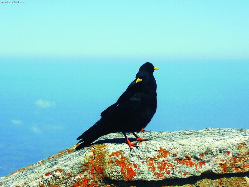 Foto: Pan a pan� Vr�novi :)