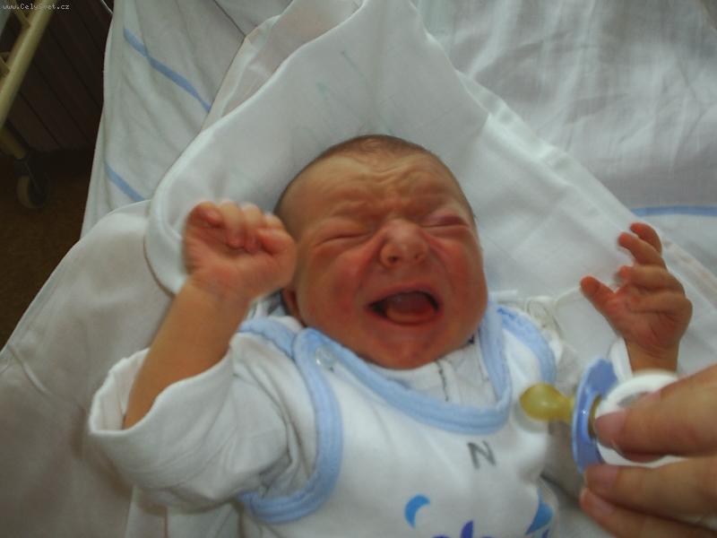 Foto: jsem mlad�, kr�sn� a jsem v� :o)