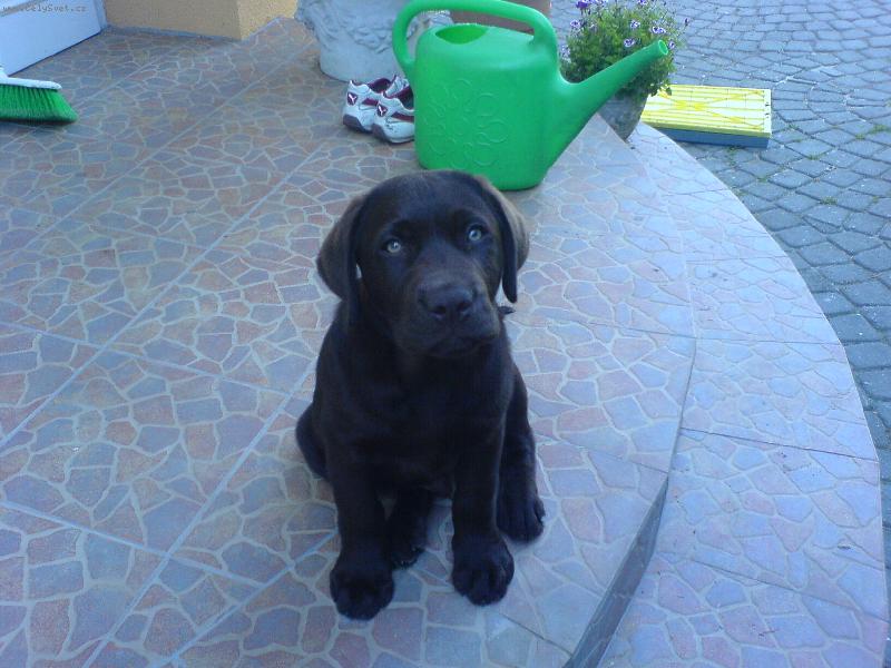 Foto: Sed�m spr�vn�?-Quardian Angel