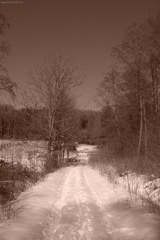 Foto: Na proch�zce