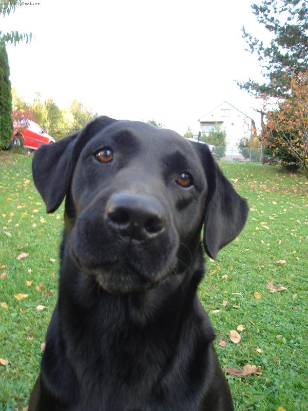 Foto: Co jsi ��kal?