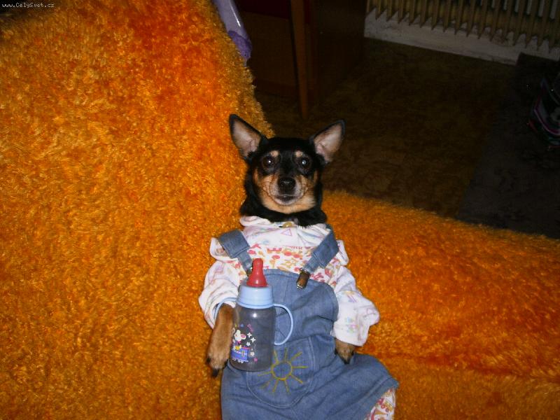 Foto: miminko :)-Betynka pr�v� pap� :)