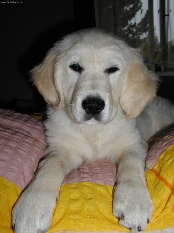 Foto: Na�e Megginka