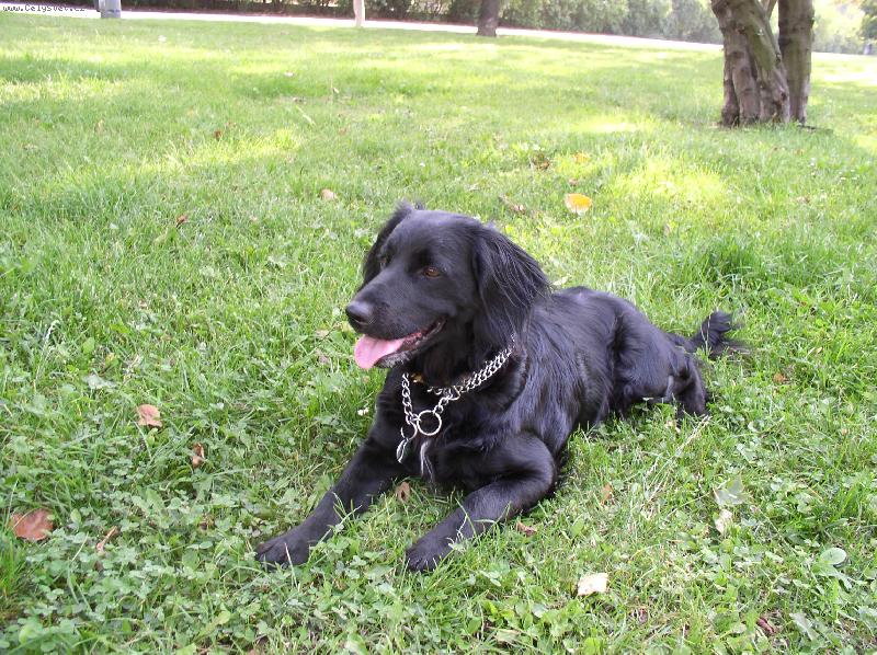 Foto: na�e nalezen� princezna